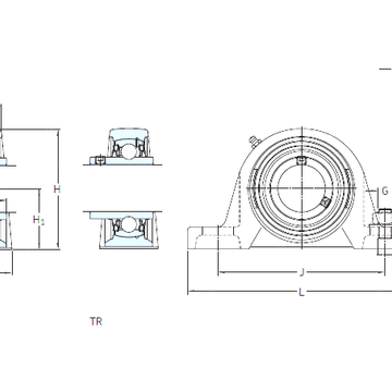 SY 50 TR SKF Bearing Units