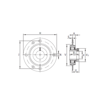 RA30 INA Bearing Units