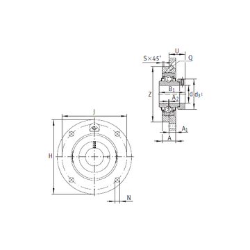 RME20-N INA Bearing Units