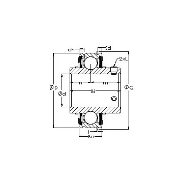 ER204 AST Bearing Units