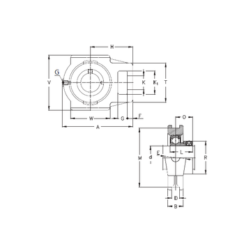 RTUE 120 NKE Bearing Units