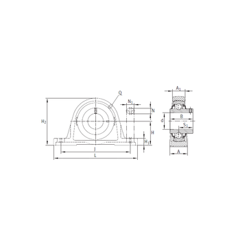 RASEY40-N INA Bearing Units