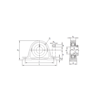 PASEY25-N INA Bearing Units